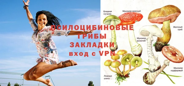 дмт Армянск