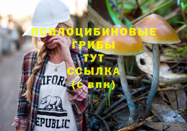 дмт Армянск