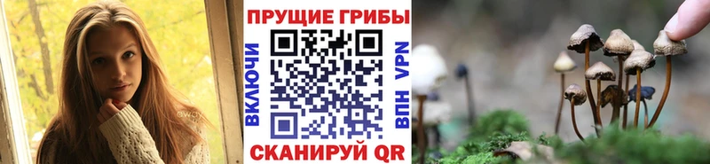 Псилоцибиновые грибы мухоморы нарко площадка наркотические препараты Почеп